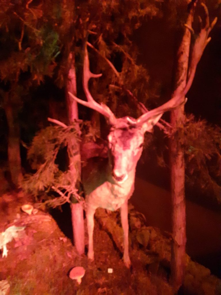 Sztuczny jeleń z długimi porożami ukrywający się w sztucznym lesie między drzewami.