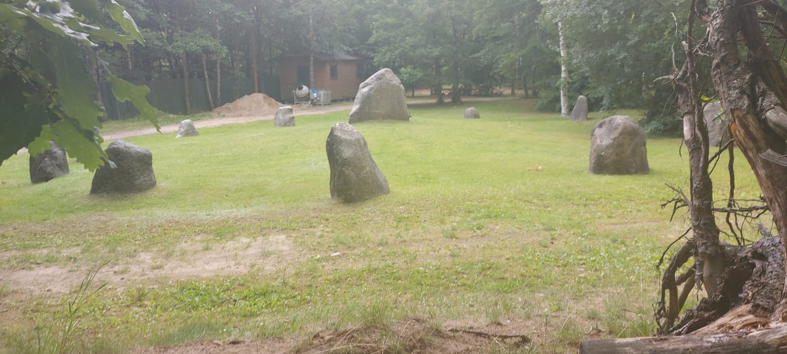 Kręgi z kamieni ustawione na zielonej trawie wokół drzewa.