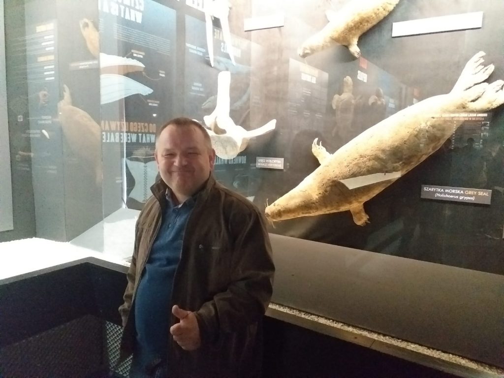 Uśmiechnięty  mieszkaniec z uniesionym kciukiem ku górze, w wystawa ssaka morskiego z rodziny fokowatych np. Szarytki Morskiej.