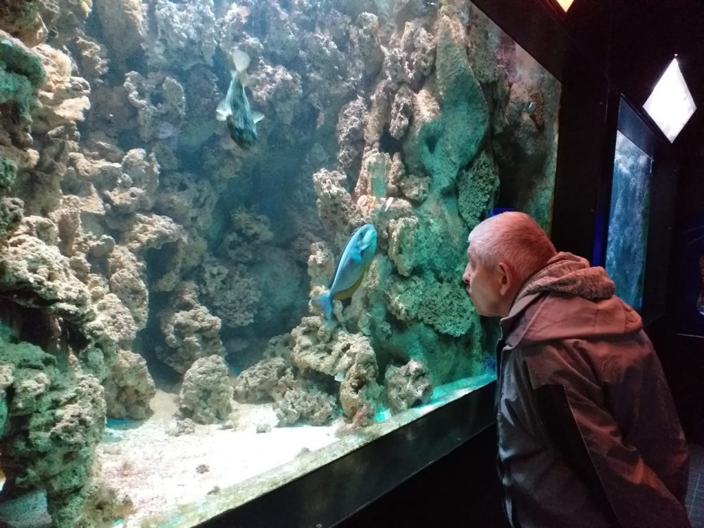 Pochylony mieszkaniec wpatrujący się w rafę koralową oraz dwie duże kolorowe ryby.