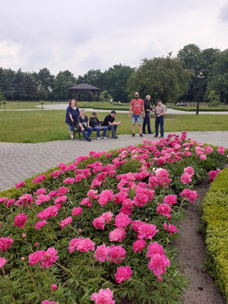 Pas różowych kwiatów, w tle siedzą mieszkańcy oraz stoją podopieczni z opiekunami.