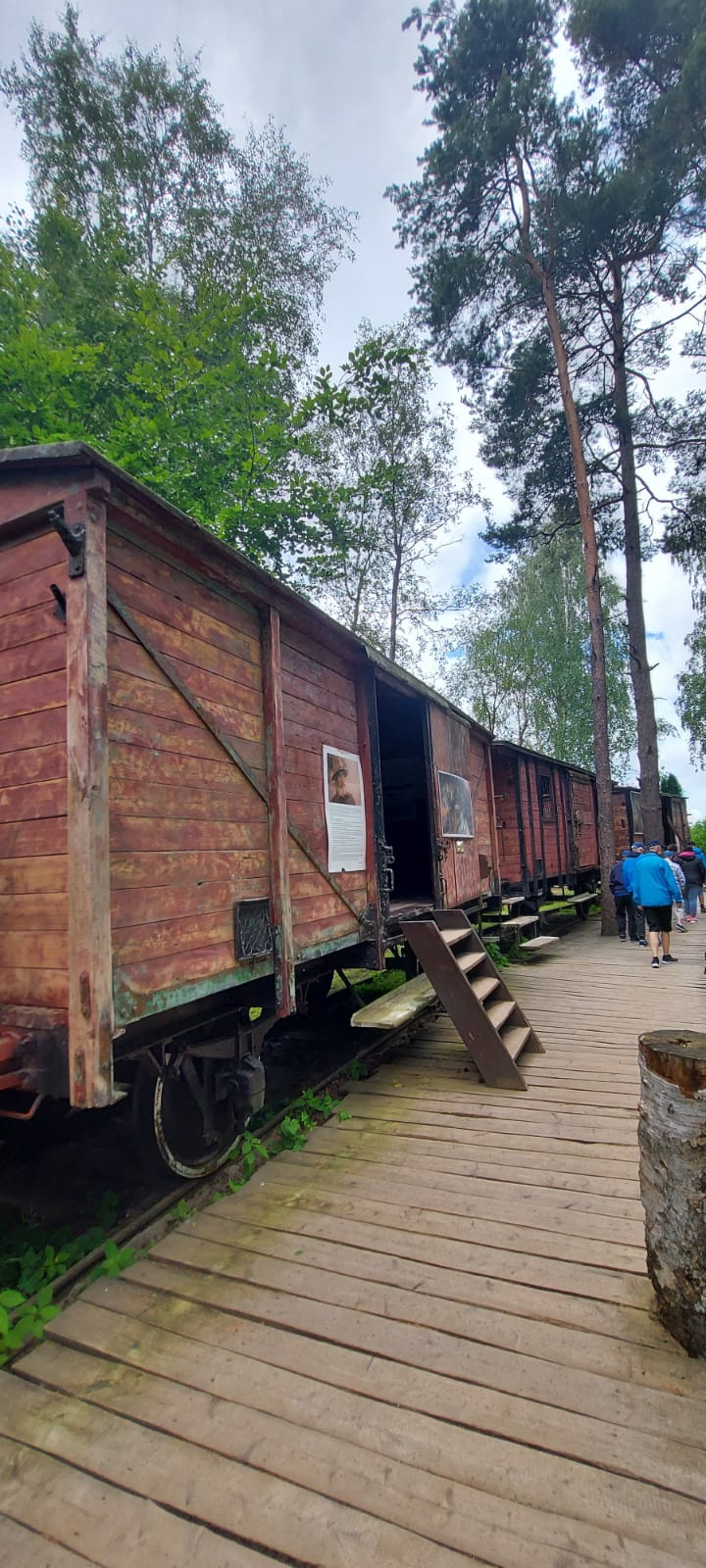 Drewniane wagony kolejowe stojące na szynach. Do wagonów można wejść. Wzdłuż nich idzie grupa wycieczkowa.